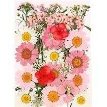 Amazon｜ドライフラワー 枯れない花 35 枚 永遠の花 押し花ステッカー